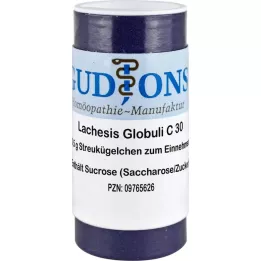 LACHESIS C 30 Gr.6 bolletjes, 0,5 g