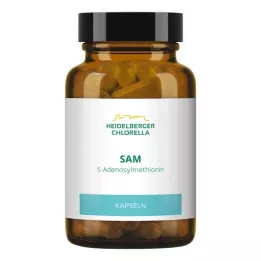 SAM S-ADENOSYLMETHIONIN Capsules, 60 stuks