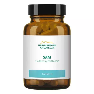 SAM S-ADENOSYLMETHIONIN Capsules, 60 stuks