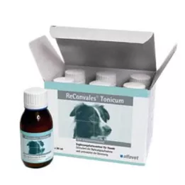 RECONVALES Tonic voor honden, 6X90 ml