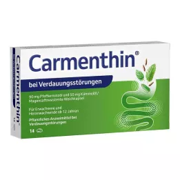 CARMENTHIN voor indigestie msr.soft caps, 14 st