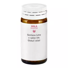 Gentiana lutea 5% moedertinctuur Globuli velati, 20 g