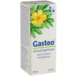 GASTEO Druppels voor oraal gebruik, 20 ml