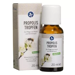PROPOLIS TROPFEN zonder alcohol, 20 ml