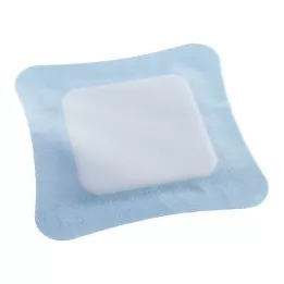 Vliwasorb Pro subabsorb.Komp.steril 22x22 cm, 10 stuks