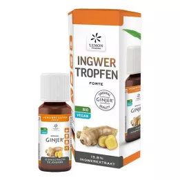 INGWER GINJER forte druppels, 20 ml