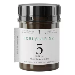 Schüssler No.5 Kalium fosforicum D 6 tabletten, 1000 stuks