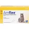 AMFLEE 50 mg spot-on oplossing voor katten, 3 stuks