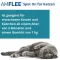 AMFLEE 50 mg spot-on oplossing voor katten, 3 stuks