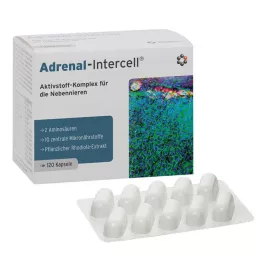 ADRENAL-Intercell Capsules, 120 Capsules