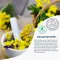 Gratis olie-hydrolipide lippenbalsem, 8 ml