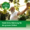 GINKGOVITAL Heumann 120 mg filmomhulde tabletten, 30 stuks