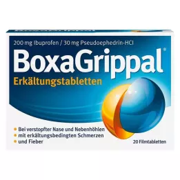 BOXAGRIPPAL Koudtabletten 200 mg/30 mg FTA, 20 stuks