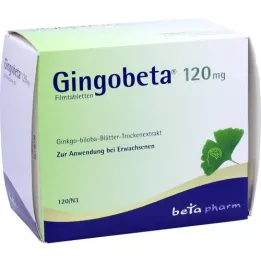 GINGOBETA 120 mg filmomhulde tabletten, 120 stuks