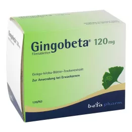 GINGOBETA 120 mg filmomhulde tabletten, 120 stuks