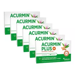 ACURMIN Plus Das Micell-Curcuma Softgels, 360 stuks