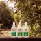 CARE PLUS Anti-Insect Deet Spray 50%, 200 ml