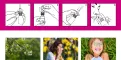 Instructions for use for Vividrin® Azelastine neusspray acute hulp bij hooikoorts en allergieën, 10 ml - 3