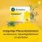 CANEPHRON Uno omhulde tabletten, 60 stuks