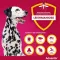 ADVANTIX Spot-on oplossing voor toepassing op de huid voor honden 25-40 kg, 4X4.0 ml