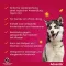 ADVANTIX Spot-on oplossing voor toepassing op de huid voor honden 25-40 kg, 4X4.0 ml