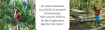 Instructions for use for ACAI 100% organisch poeder zonder draagstoffen, 80 g - 2