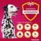 ADVANTIX Spot-on oplossing voor toepassing op de huid voor honden 40-60 kg, 4X6.0 ml