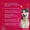 ADVANTIX Spot-on oplossing voor toepassing op de huid voor honden 40-60 kg, 4X6.0 ml