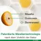 CURCUMIN-LOGES plus Boswellia-capsules, 120 capsules