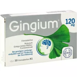 GINGIUM 120 mg filmomhulde tabletten, 30 stuks