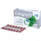 GINGIUM 120 mg filmomhulde tabletten, 60 stuks