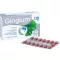 GINGIUM 120 mg filmomhulde tabletten, 60 stuks