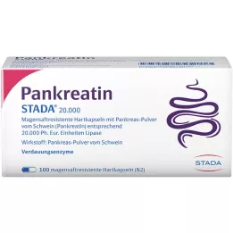 PANKREATIN STADA 20.000 harde enterische capsules, 100 stuks