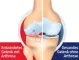 Instructions for use for GELENCIUM® arthrodruppels, 100 ml - 2