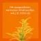 UBICHINON compositum ad us.vet.ampullen, 10 stuks