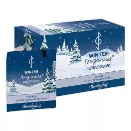 WINTER-TEEGENUSS Kaneel Kardemom Gember Filterzakje, 20X2.5 g