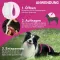 FRONTLINE Tri-Act druppeloplossing voor honden 2-5 kg, 6 st