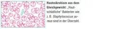 Instructions for use for AKTIVADERM ND Neurodermitis huidbehandeling actieve probiotica, 125 g - 2