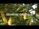 Video over Kneipp-badkristallen bosbad dennenspar, 600 g