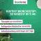 BRONCHOSTOP Sine hoestsiroop, 200 ml
