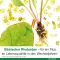 FEMILOGES enterische tabletten, 60 stuks