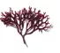 Instructions for use for Phytodefrisant Anti-Frizz Retoucheerverzorgingsgel, 50 ml - 4
