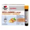 DOPPELHERZ Collageen 11.000 Curcuma+Ingw.systeem TRA, 30X25 ml