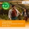 Desloratadine HEUMANN 5 mg filmomhulde tabletten, 50 stuks