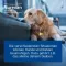 Nurexan adverteert ons.dierenarts.Tabletten, 500 st