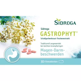 SIDROGA GastroPhyt 250 mg filmomhulde tabletten, 30 st