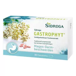 SIDROGA GastroPhyt 250 mg filmomhulde tabletten, 30 st