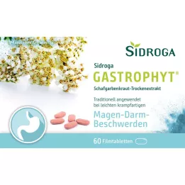 SIDROGA GastroPhyt 250 mg filmomhulde tabletten, 60 st