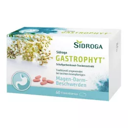 SIDROGA GastroPhyt 250 mg filmomhulde tabletten, 60 st
