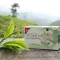 H&S Biologische Darjeeling Groene Thee Filterzakje, 20X2 g